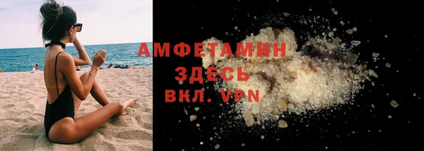 индика Белокуриха