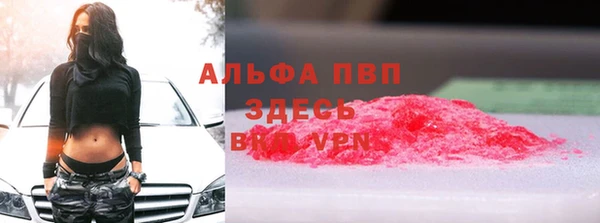 индика Белокуриха