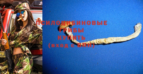 индика Белокуриха