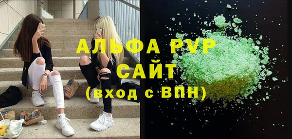 индика Белокуриха