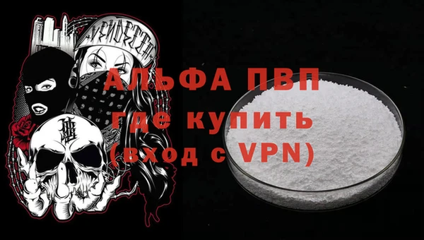 индика Белокуриха