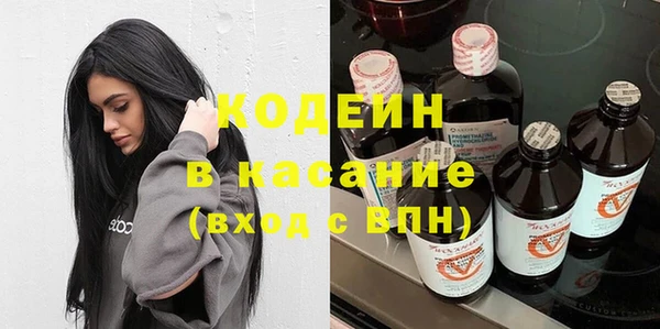 индика Белокуриха