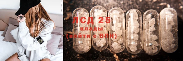 индика Белокуриха